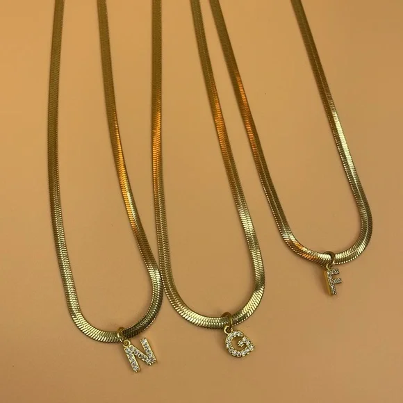 Titanium Steel and Zircon Snake Adjustable Length Necklace With Initial - Picture 2 of 6